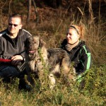 hw500078-150x150 3. Tierheim-Hundewanderung 2013