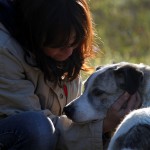 hw500079-150x150 3. Tierheim-Hundewanderung 2013