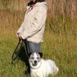 hw500081-150x150 3. Tierheim-Hundewanderung 2013