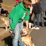 hw500084-150x150 3. Tierheim-Hundewanderung 2013