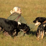 hw500085-150x150 3. Tierheim-Hundewanderung 2013