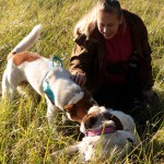 hw500089-150x150 3. Tierheim-Hundewanderung 2013