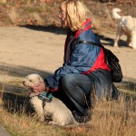 hw500091-150x150 3. Tierheim-Hundewanderung 2013