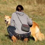 hw500093-150x150 3. Tierheim-Hundewanderung 2013