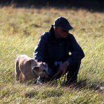 hw500095-150x150 3. Tierheim-Hundewanderung 2013