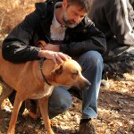 hw500096-150x150 3. Tierheim-Hundewanderung 2013