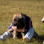 hw500111-150x150 3. Tierheim-Hundewanderung 2013