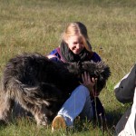 hw500112-150x150 3. Tierheim-Hundewanderung 2013