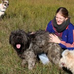 hw500114-150x150 3. Tierheim-Hundewanderung 2013