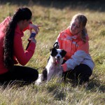 hw500130-150x150 3. Tierheim-Hundewanderung 2013