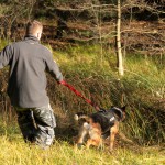 hw500135-150x150 3. Tierheim-Hundewanderung 2013