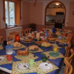 hw500136-150x150 3. Tierheim-Hundewanderung 2013