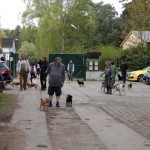 hw600001-150x150 Tierheim-Hundewanderung 2014