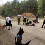 hw600002-150x150 Tierheim-Hundewanderung 2014