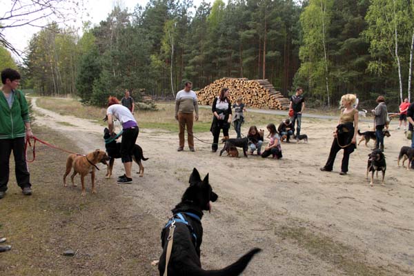 hw600002 Hunde-Pfingstwanderung 2018