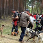 hw600005-150x150 Tierheim-Hundewanderung 2014