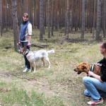 hw600006-150x150 Tierheim-Hundewanderung 2014