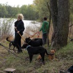 hw600007-150x150 Tierheim-Hundewanderung 2014
