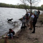 hw600008-150x150 Tierheim-Hundewanderung 2014