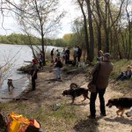 hw600010-150x150 Tierheim-Hundewanderung 2014