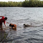 hw600011-150x150 Tierheim-Hundewanderung 2014