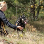 hw600017-150x150 Tierheim-Hundewanderung 2014