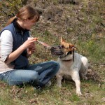 hw600027-150x150 Tierheim-Hundewanderung 2014