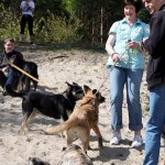 hw600028-150x150 Tierheim-Hundewanderung 2014