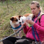 hw600033-150x150 Tierheim-Hundewanderung 2014