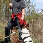 hw600036-150x150 Tierheim-Hundewanderung 2014