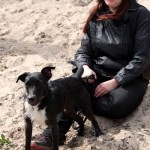 hw600037-150x150 Tierheim-Hundewanderung 2014