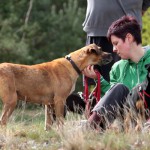 hw600041-150x150 Tierheim-Hundewanderung 2014