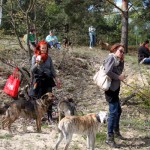 hw600045-150x150 Tierheim-Hundewanderung 2014