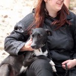 hw600050-150x150 Tierheim-Hundewanderung 2014