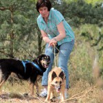 hw600060-150x150 Tierheim-Hundewanderung 2014