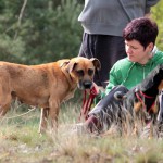 hw600062-150x150 Tierheim-Hundewanderung 2014