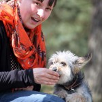 hw600064-150x150 Tierheim-Hundewanderung 2014