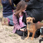 hw600065-150x150 Tierheim-Hundewanderung 2014