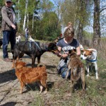 hw600081-150x150 Tierheim-Hundewanderung 2014