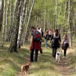 hw600083-150x150 Tierheim-Hundewanderung 2014