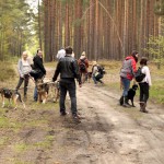 hw700001-150x150 Tierheim-Hundewanderung 2015