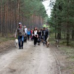 hw700002-150x150 Tierheim-Hundewanderung 2015