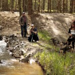 hw700003-150x150 Tierheim-Hundewanderung 2015