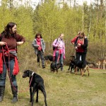 hw700004-150x150 Tierheim-Hundewanderung 2015