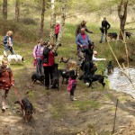 hw700005-150x150 Tierheim-Hundewanderung 2015