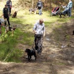 hw700009-150x150 Tierheim-Hundewanderung 2015