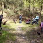 hw700010-150x150 Tierheim-Hundewanderung 2015