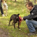 hw700011-150x150 Tierheim-Hundewanderung 2015