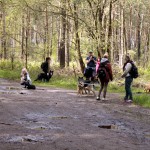 hw700014-150x150 Tierheim-Hundewanderung 2015