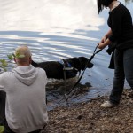 hw700015-150x150 Tierheim-Hundewanderung 2015